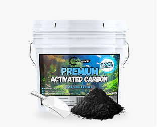 Premium Activated Carbon